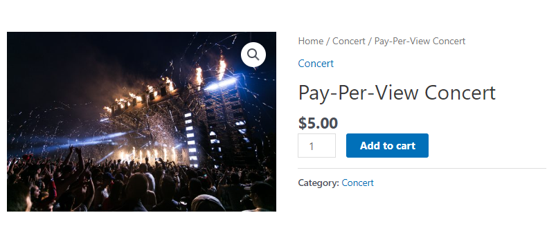 pay-per-view concert